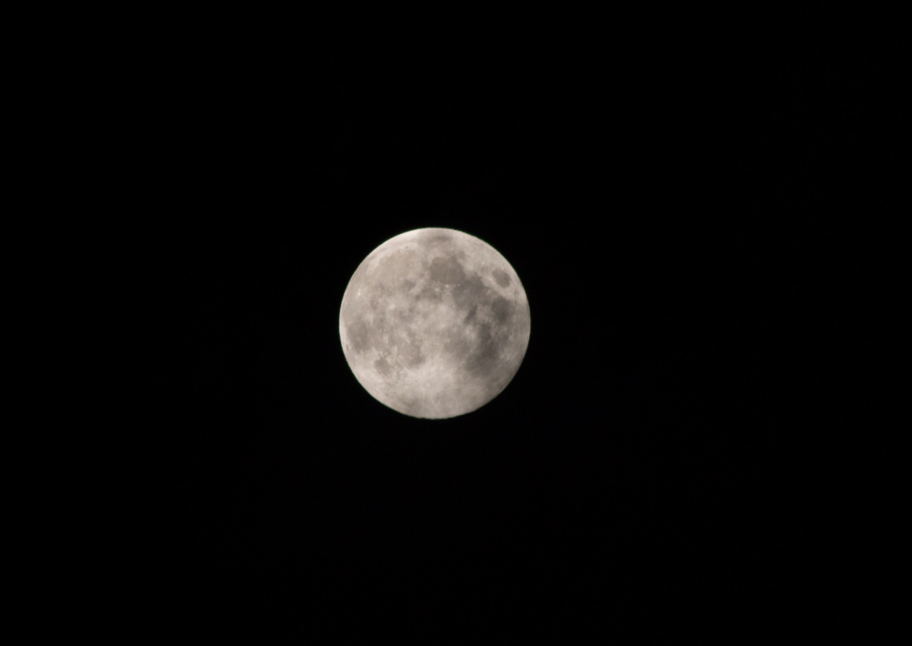 Blue Moon  Aug 20, 2013 